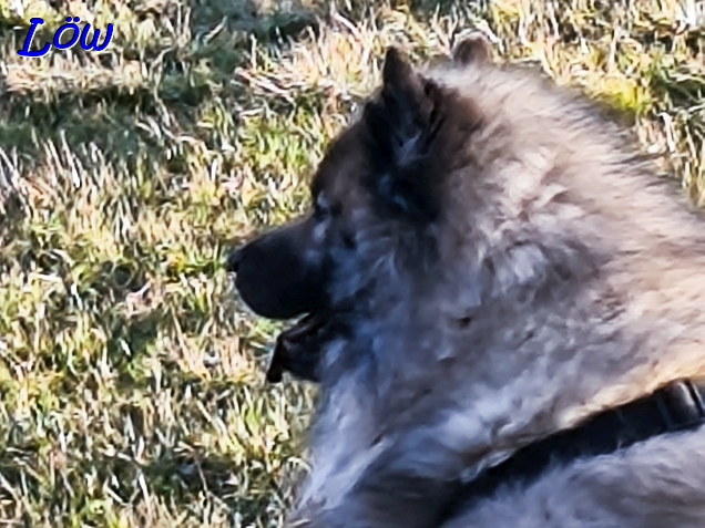 23.3.2025 - Dwix sinniert